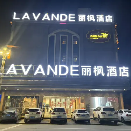 LAVANDE