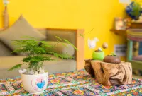 Lixiang·ideal hotel