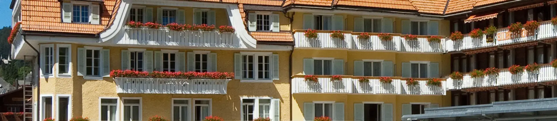 Ski Hotels
