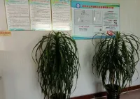 LiangziHotel Hotels in Shenzhou