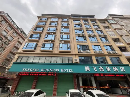 Tengfei Business Hotel Отели в г. Цэньси