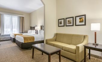 Comfort Suites Maingate East