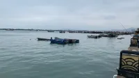 藍島飯店（汕尾信利廣場二馬路美食街店） - 海景
