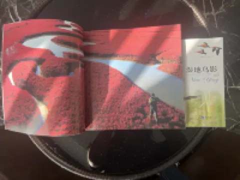 โรงแรมวานฮุ่ยหลง โรงแรมในผานจิน