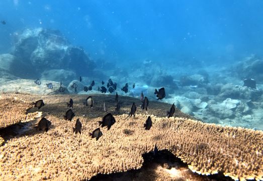 호텔 편의 시설