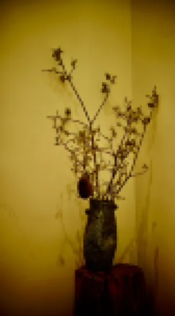 Yuke Ranch Wild Luxury Homestay