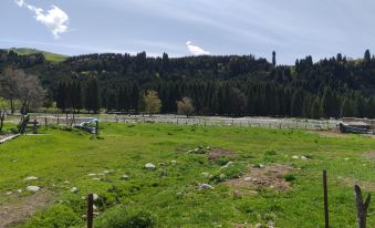 Gongliuqia Xiluyuan Mountain Villa