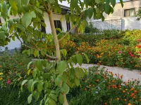 Huocheng Xiangwang Homestay (Qingshuihe) - 2 ดาว