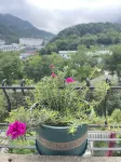 Yueyuan Guesthouse - Bjergudsigt