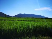 钟祥山居生活度假村 - 酒店附近