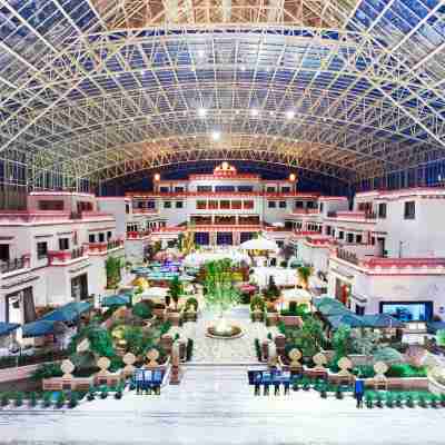 拉薩聖地天堂洲際大飯店 Hotel Exterior