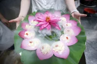 Puzhehei Yidu Homestay (Hehua Daguan Garden) Hotels in Qiubei