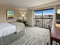 Sonesta Redondo Beach and Marina Hotels in Redondo Beach