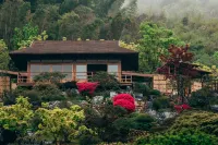 Chayeli Wild Luxury Tent Camp