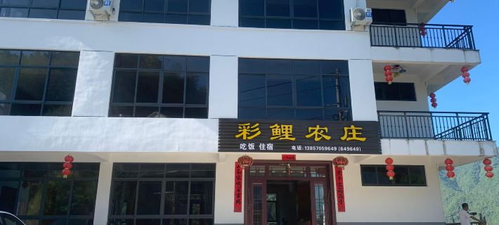 Longquan Colorful Carp Hotel Hotels in Longquan
