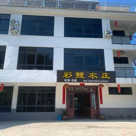 Longquan Colorful Carp Hotel