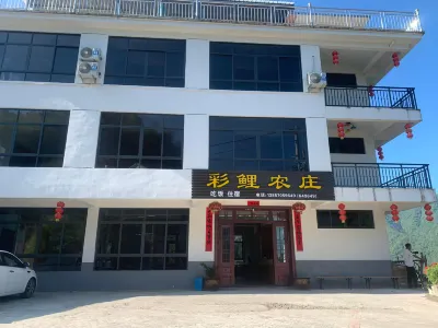 Longquan Colorful Carp Hotel