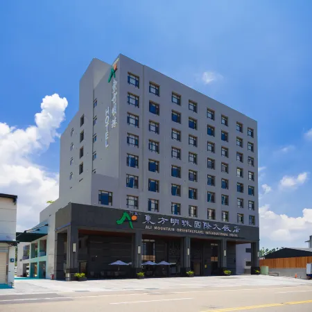 Chiayi Oriental Pearl International Hotel Отели в г. Цзяи