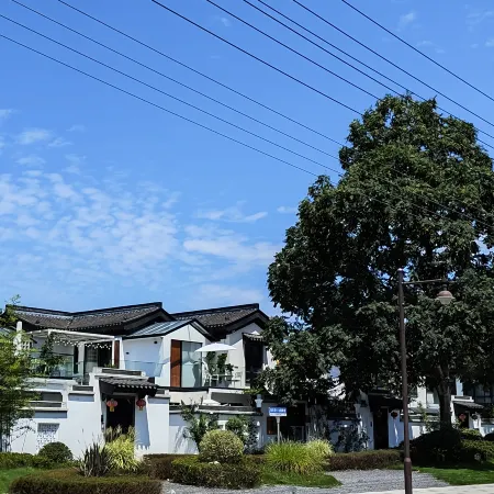 Under the big tree の XiYue Homestay