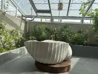 Yuequanju Private Hot Spring Homestay (Tongliao Zhanlu Hot Spring Resort City) Các khách sạn ở 