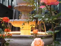印象雅緣民宿（溪口店） 鄰近雪竇山的酒店