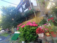 松爾基藏家風情民宿 - 酒吧