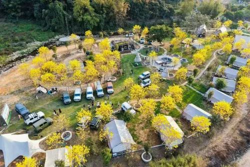 ravine stream Camp