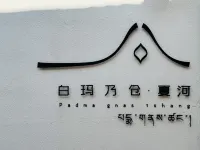padma gnas tshang - 애견동반