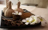 The Fortress Resort & Spa - spa