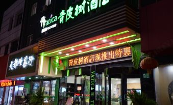 Gt Alliance Hotel (Huilongwo Historical and Cultural Street Store, Suning Plaza, Xuzhou)