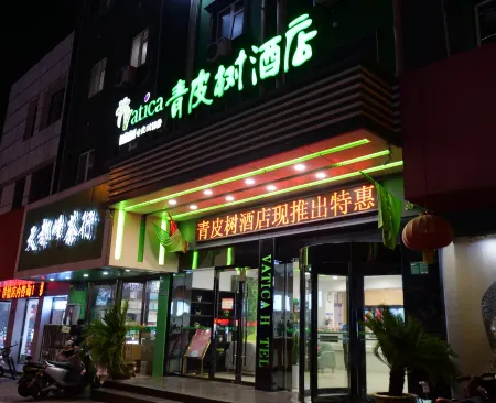 Gt Alliance Hotel (Huilongwo Historical and Cultural Street Store, Suning Plaza, Xuzhou)
