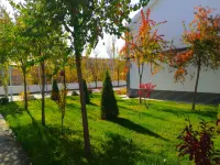 Zhenbei Minsu Village - Villas
