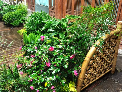 NAXI yage hotel Außen Photos