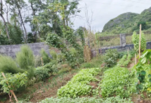 Jiangyong Shangganyi Sanjie Homestay