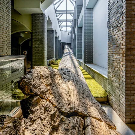 Fenxing Lihua Grand Hotel