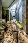 Fenxing Lihua Grand Hotel - palestra