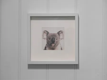 Azzurro Pod Hotel - Central Sydney Отели рядом с достопримечательностью «Университет Саутерн Кросс в Сидней Кампус»