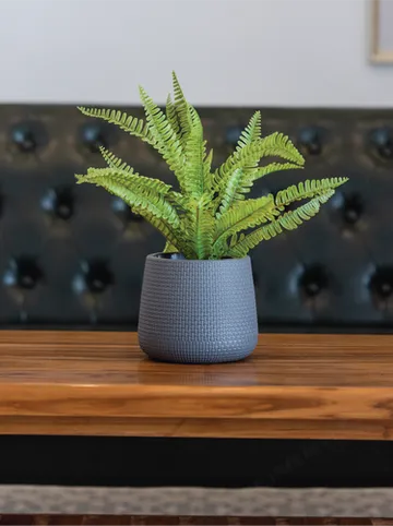 รูปภาพของบาเนียบูติคเฮาส์