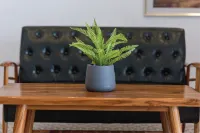 Bania Boutique House