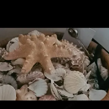 Vacanze Bellavista Tropea