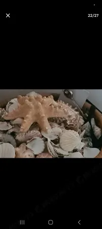 Vacanze Bellavista Tropea