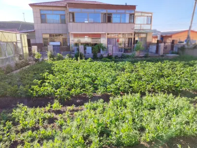 Liu Yuchun Courtyard B&B Hotels near Russian Style Street