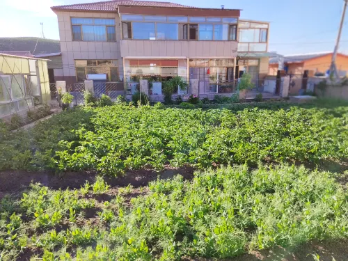 Liu Yuchun Courtyard B&B