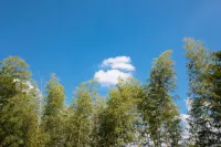 Zhu Jin Hui Yun Homestay