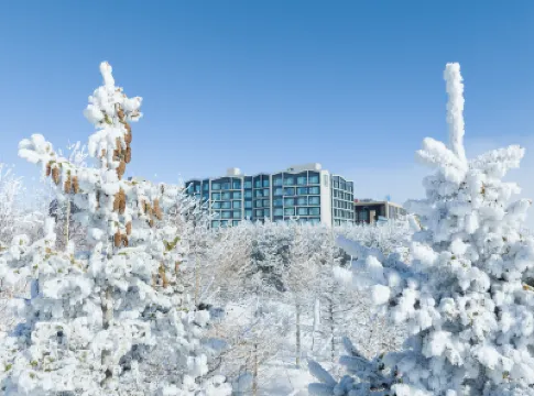 AC Hotel by Marriott Xinjiang Sayram Lake Hotels in 