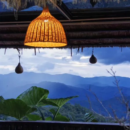 Muyu Guanshan Homestay (Jingmai Mountain Ancient Tea Forest Bajiaota Manghong Tea Ancestor Tree)