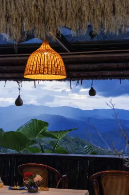 Muyu Guanshan Homestay (Jingmai Mountain Ancient Tea Forest Bajiaota Manghong Tea Ancestor Tree)