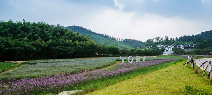 Putang Tori Hotel Hotels in Ma'anshan