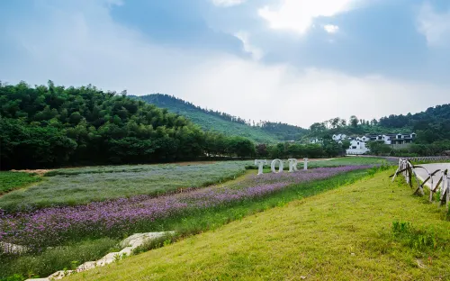 Putang Tori Hotel Hotels in Ma'anshan