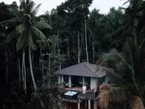 Aarunya Nature Resort and Spa
